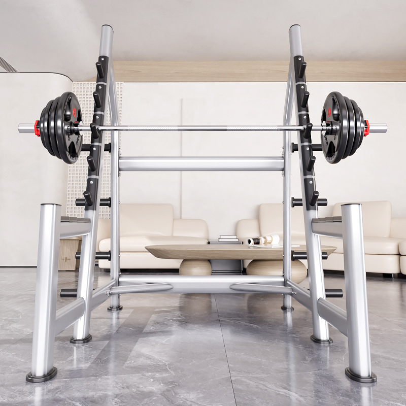 Squat Rack Power Cage, Plate L - Heavy Equipment Lift recension och pris