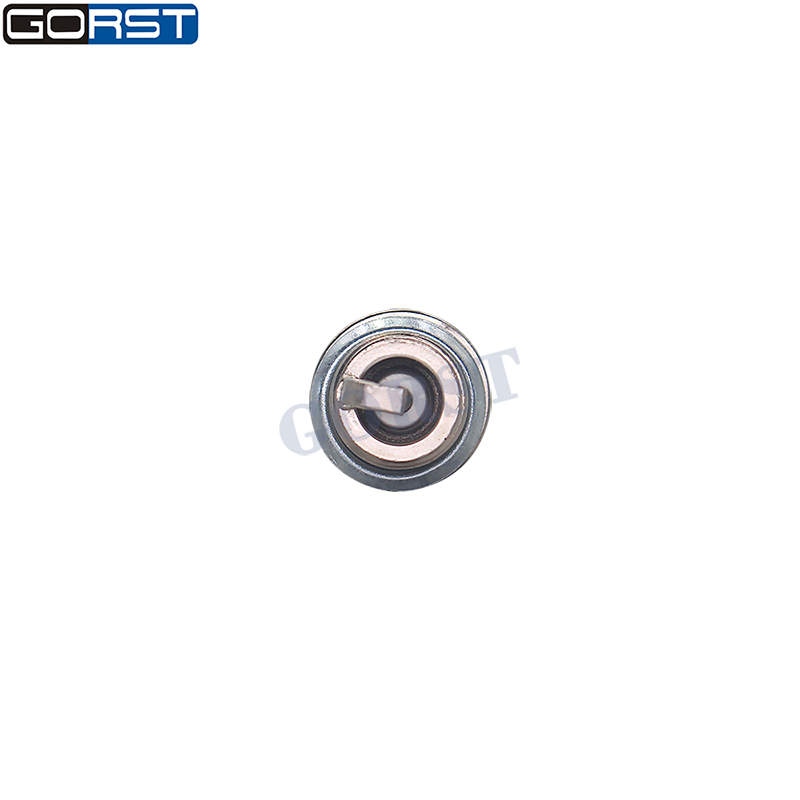 10Pcs M14x1.25 Double Iridium  - Bosch Spark Plug Iridium recension och pris